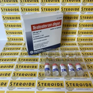 Testosterone Enanthate 250mg/ml 1ml Injektionslösung